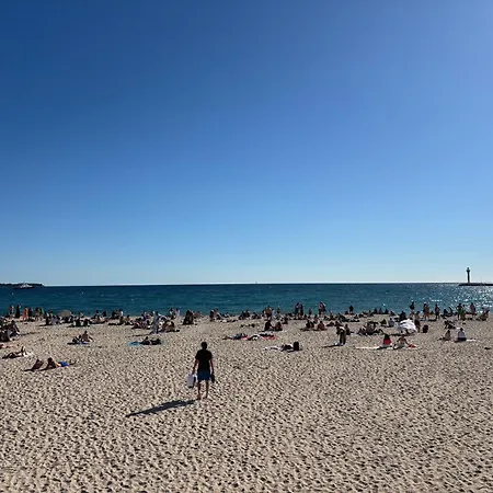 Palais Des Festivals