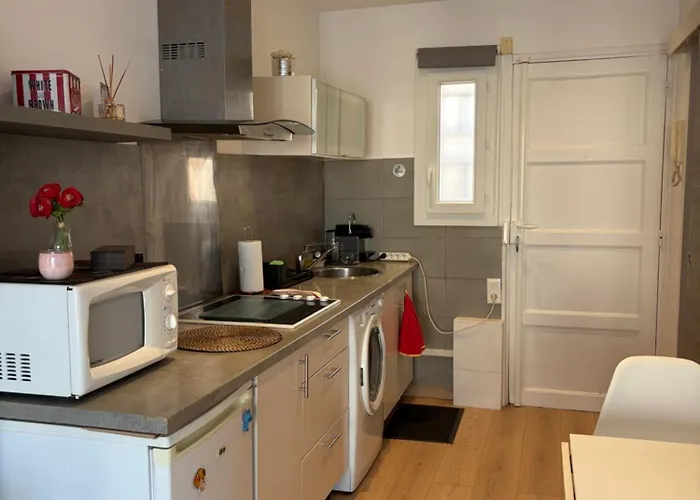 Apartamento Palais Des Festivals Cannes