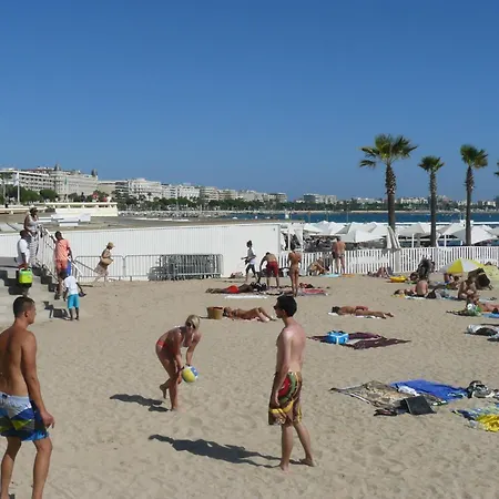 Palais Des Festivals